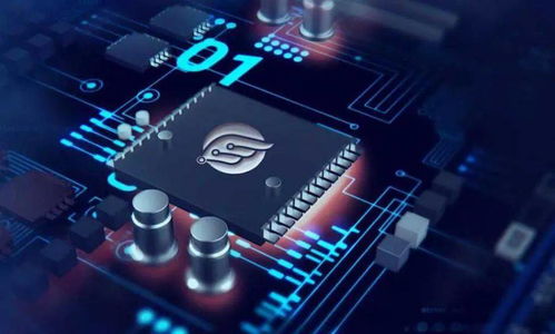 創(chuàng)業(yè)張江 物聯(lián)網(wǎng)領(lǐng)域的 后浪 芯翼信息科技勢頭正勁