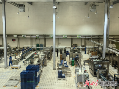 科技引領&ldquo;甘味&rdquo;莊園乳品熱銷市場--甘肅農墾莊園牧場挖掘地域特色研發新產品